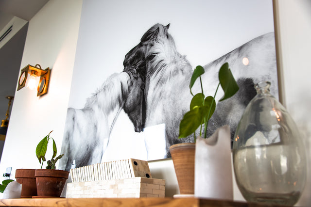 Nuzzle // Brooklyn, New York