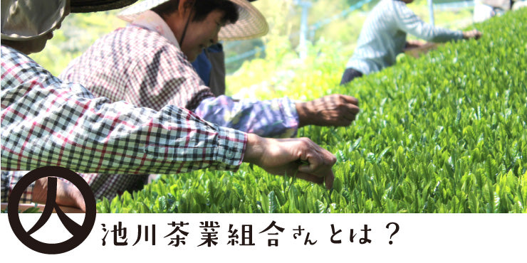 Ikegawa Tea Farm Coop