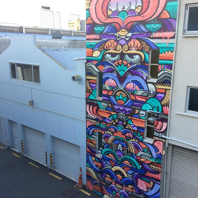 Sean Duffell street art in Wellington