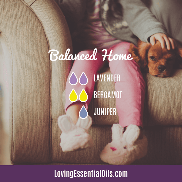 Best Smelling Essential Oils for Home by Loving Essential Oils | Balanced Home with lavender, bergamot, and juniper essential oil