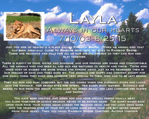 Personalized Pet Memorial Dog Memorial Cat Memorial Rainbow Bridge Poem Pet Memorials 8 X 10 Print Pet Memorial