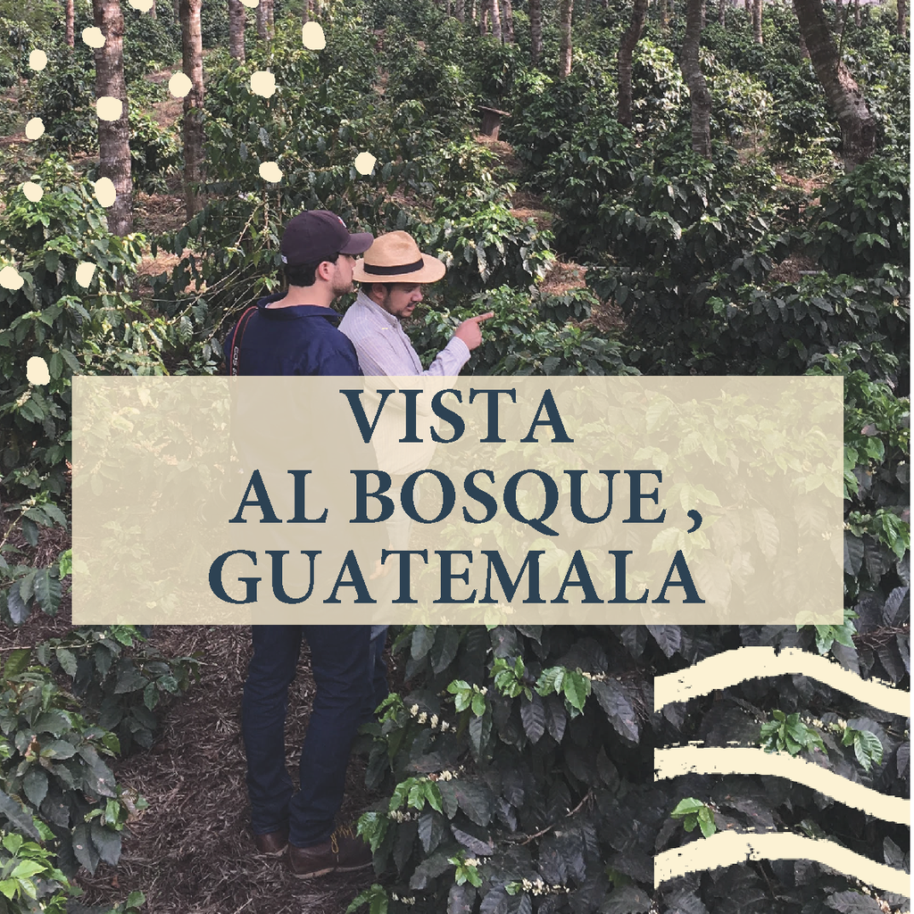 Vista al Bosque, Guatemala