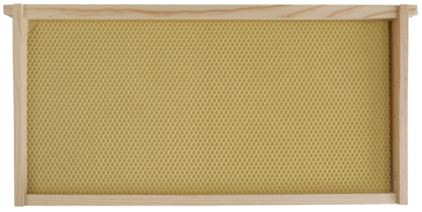 Deep wooden frame with plastic foundation (Assembled)