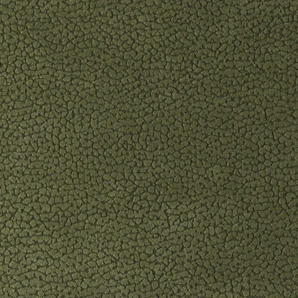 Sahara Forest