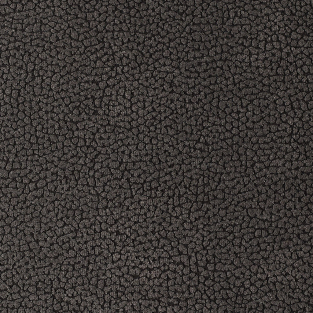 Sahara
