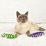 Categories Catty Coil Two-Pack Cat Toy