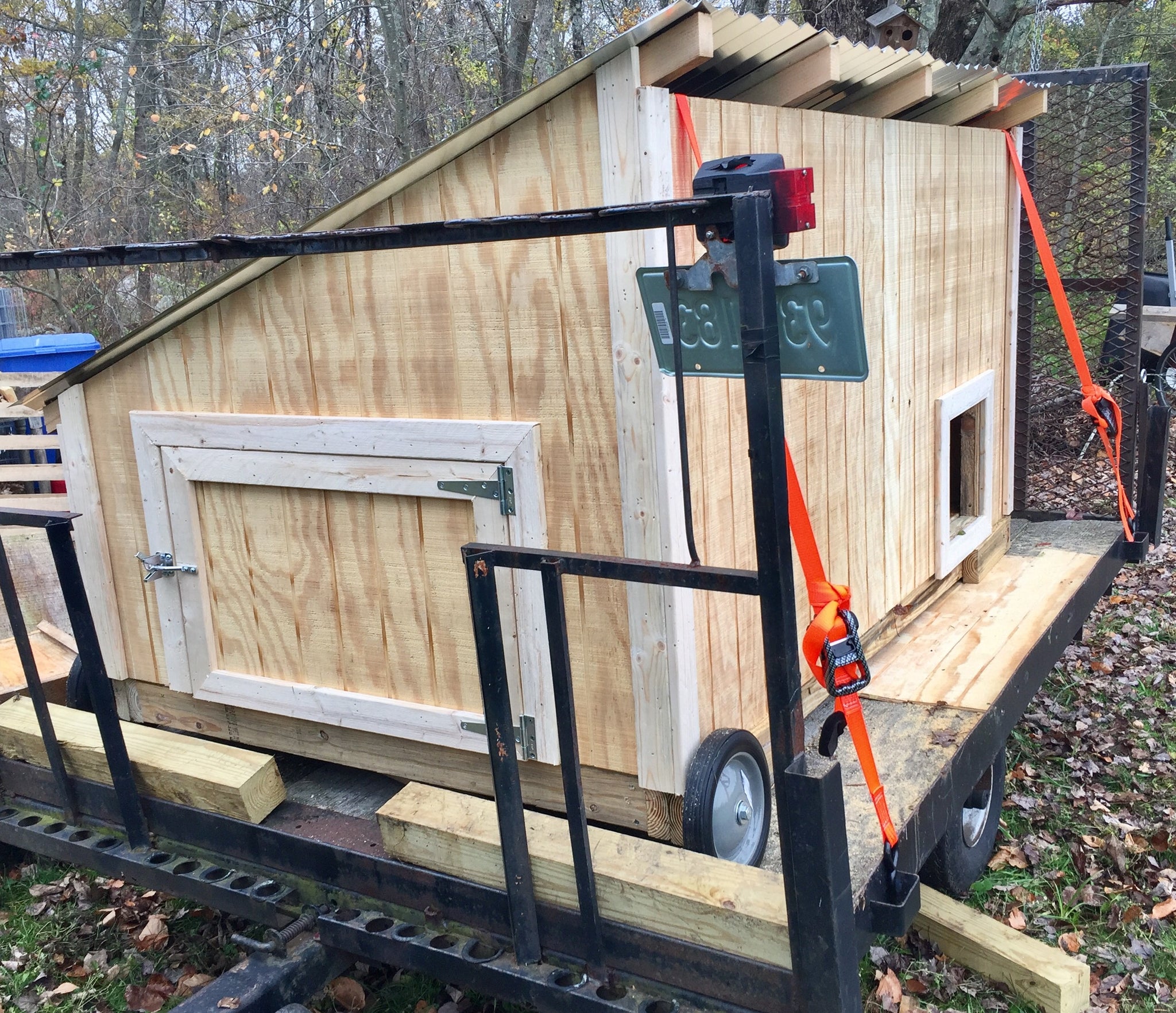 Waterfowl Coop (for Ducks and Geese)