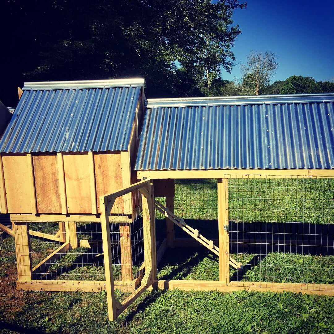 Backyard Chickens for the Whole Family - 90 Min Intensive Workshop