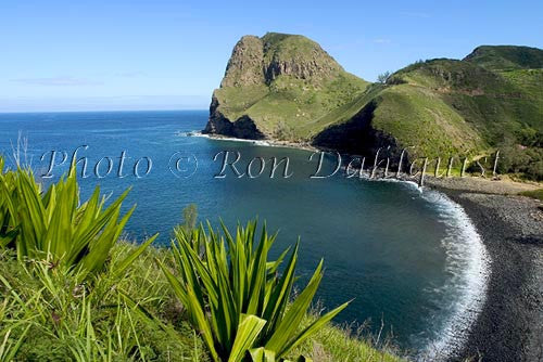 Elephant Head at Kahakuloa, Maui, Hawaii - Hawaiipictures.com Elephant Head at Kahakuloa, Maui, Hawaii - Hawaiipictures.com