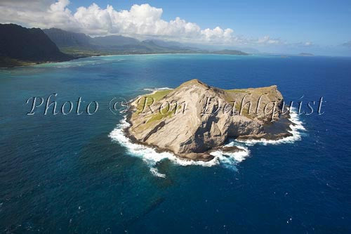 Hawaii, Oahu, Manana Island aka Rabbit Island Hawaii, Oahu, Manana Island aka Rabbit Island