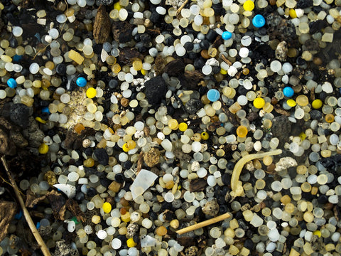 tiny round plastic pellets covering a beach on Padre Island, off the southern coast of Texas.