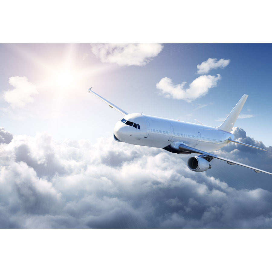Airplane in the Sky Wall Mural