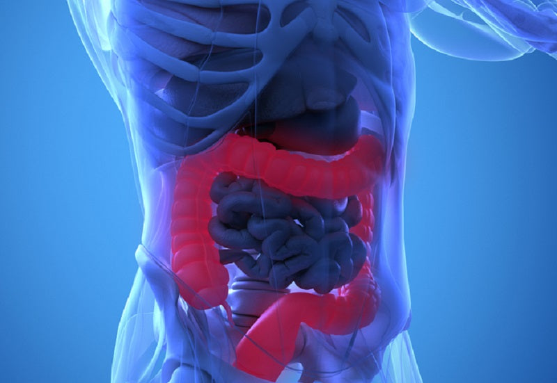 Switching to vaping promotes healthy gut microbiota, says pilot study