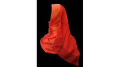 Elegant Shawls - Model SWLX61001 - Arabic Islamic Shopping Store - 2