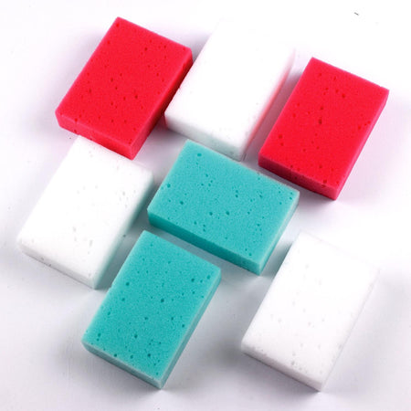 Lincoln Economy Sponge