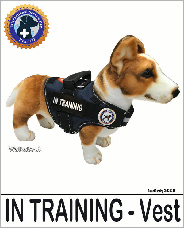 In Training Service dog Vest LUVDOGGY