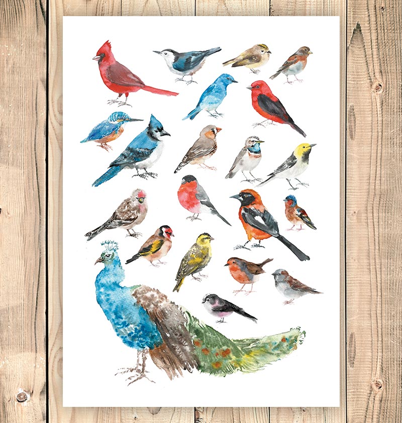Bird collage - Watercolor art print