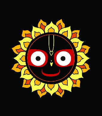 Owl Image