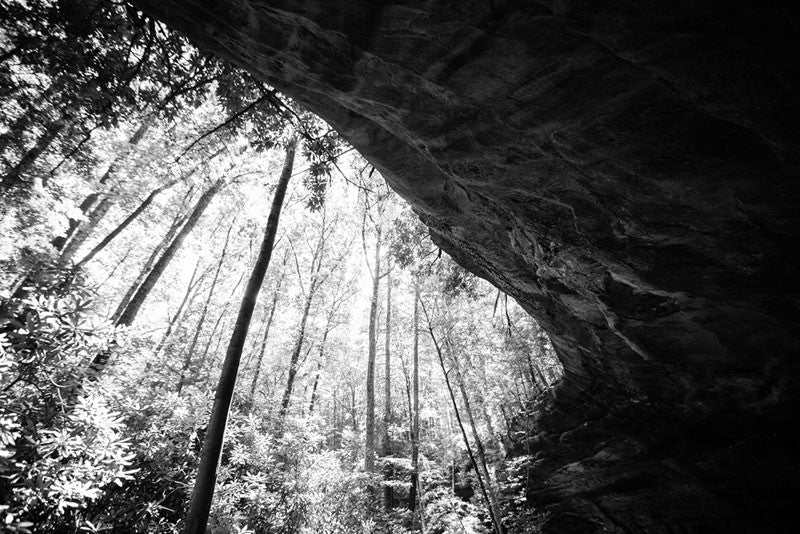 Black and white landscape photograph of the Indian Rockhouse on the Cumberland Plateau of East Tennessee. This large natural rock shelter was used by Native Americans up to 15,000 years ago.