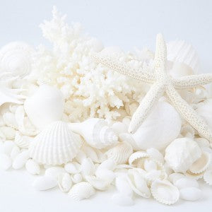 Coral Cylinder In White