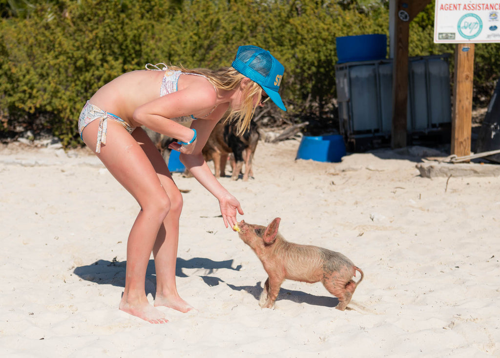 Girl feeding a Pig in the Bahamas for a Chance Loves Photo Shoot