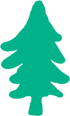 13,658 Trees Planted