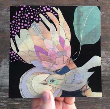 Dana Kinter Artist Card - Spotted Pardalote & Protea