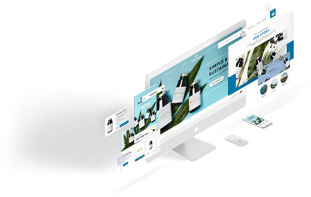 Shopify Web Design
