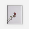 La Rose Rouge - THE PRINTABLE CONCEPT - Printable art posterDigital Download -