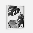 Monstera Deliciosa - THE PRINTABLE CONCEPT - Printable art posterDigital Download -