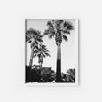 Paradise Las Palmas - THE PRINTABLE CONCEPT - Printable art posterDigital Download -