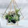 Hanging Planter With Ceramic Plant Holder