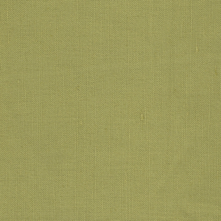 Pinwheel - Parrot Green
