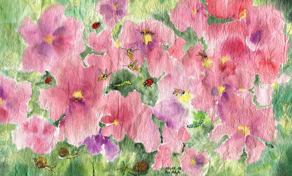 Flowers and bugs