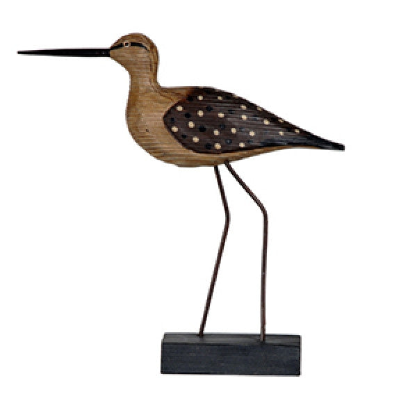 Standing spotted wing duck