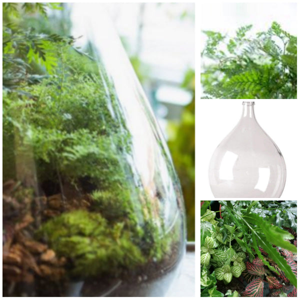 ecosysteem in fles