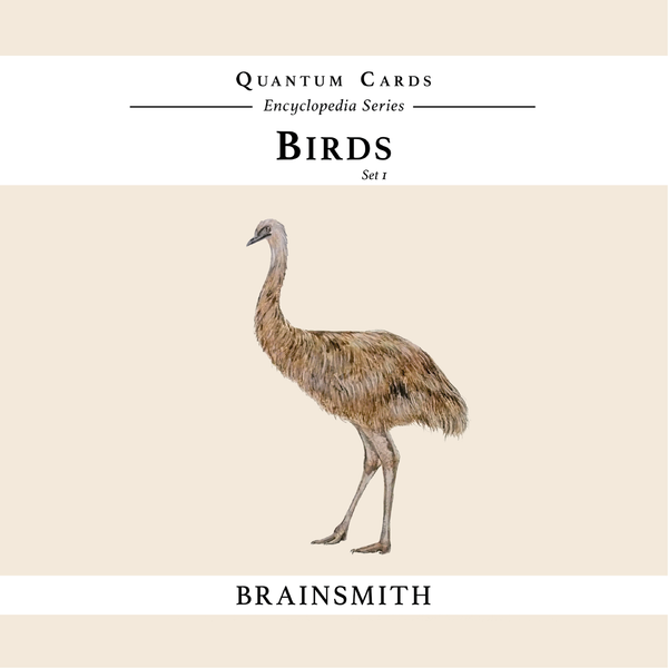 Birds - Quantum Cards Set - Nick & Nishka