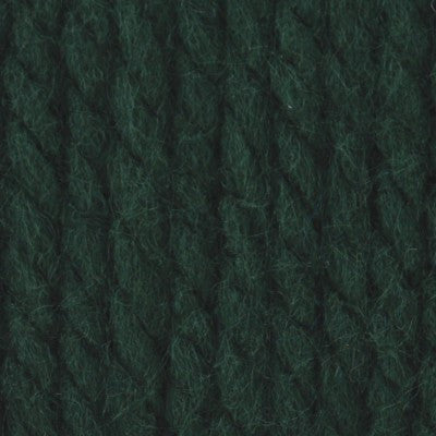 Bernat Softee Chunky - Dark Green - Yarnia Craft Closet