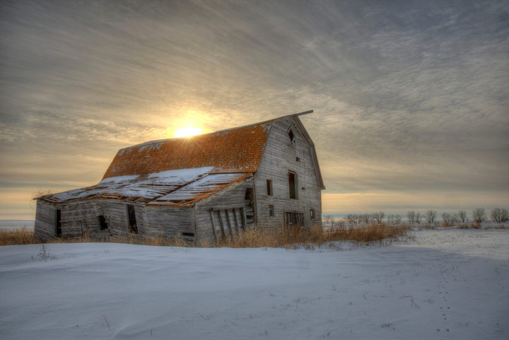 abandoned saskatchewan barn on an old homestead