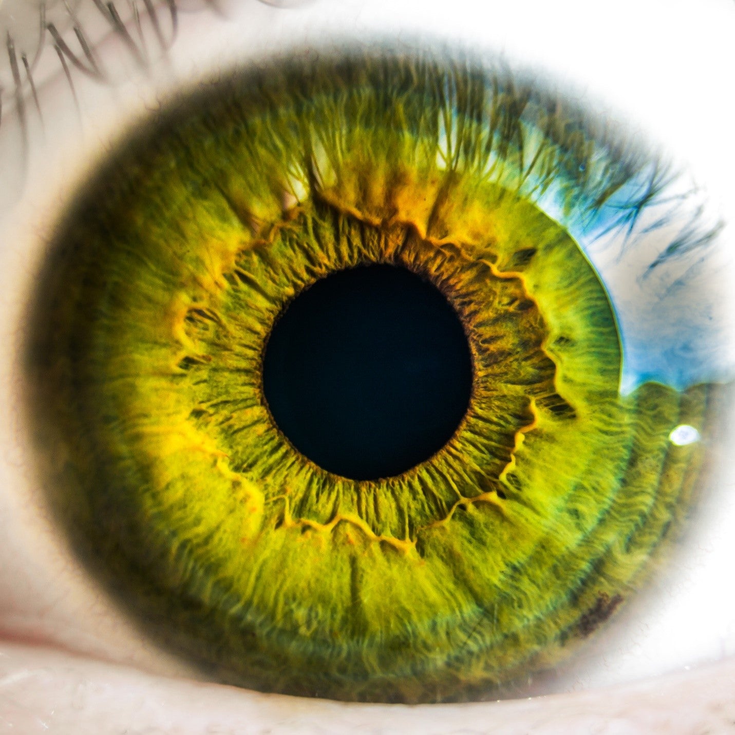 6 Amazing Healthcare Technology Inventions in 2016
