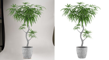 Background removal service sample by Clipping Path India