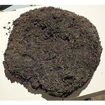 1994 Liu Bao Six Forts Wild Dragon Cake Black Tea
