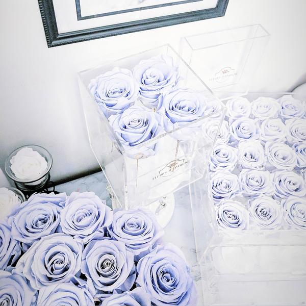 Jumbo 4 Rose Crystal Box - 3 Years