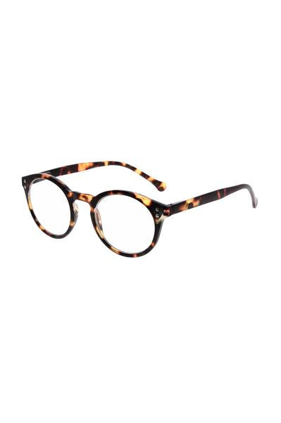 Age Eyewear Daily Optical Reading Frames Shop new zealand Parnell Ponsonby designer eyewear nz stockists