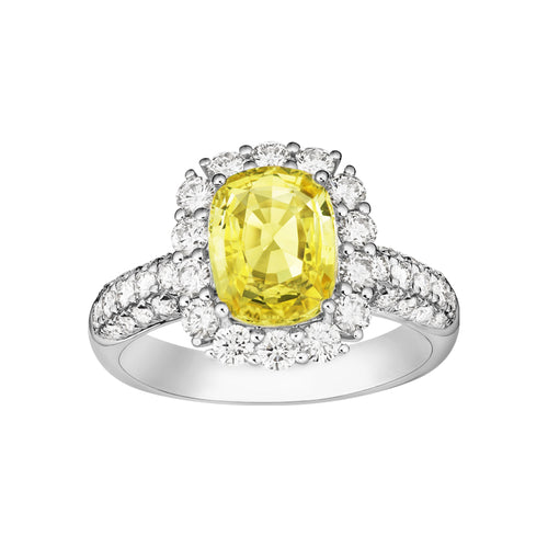 Precious Gem Ring