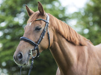 Trense MagicTack Competition Swing