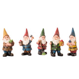 Thomas The Garden Gnome