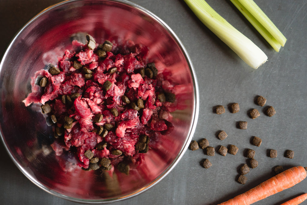 Why a Raw Beef Based Diet is Best for Your Dog. – Midwest Legacy Beef