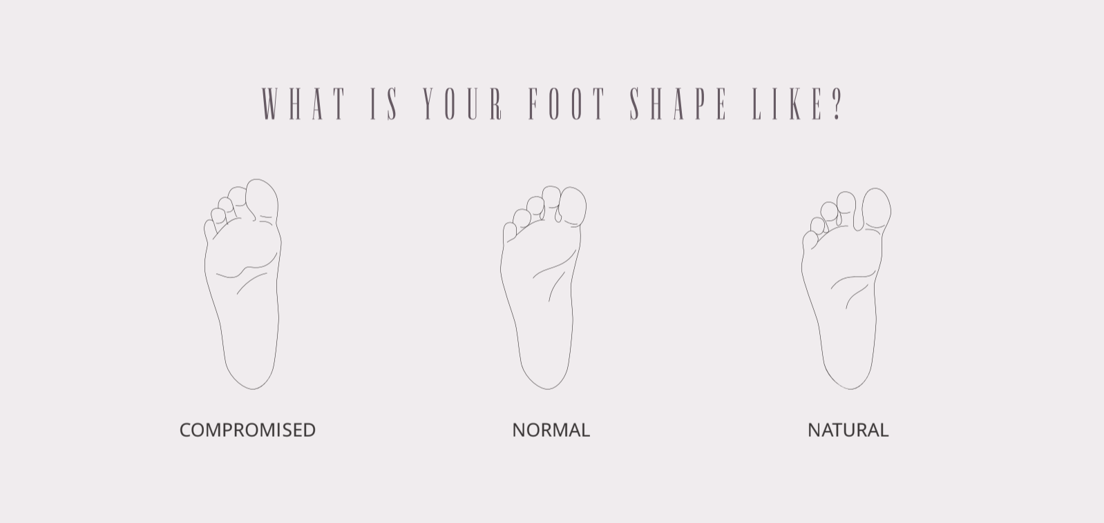 Different foot shapes representation.