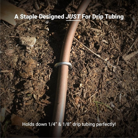 A staple designed JUST for drip tubing. Holds down 1/4" and 1/8" drip tubing perfectly!